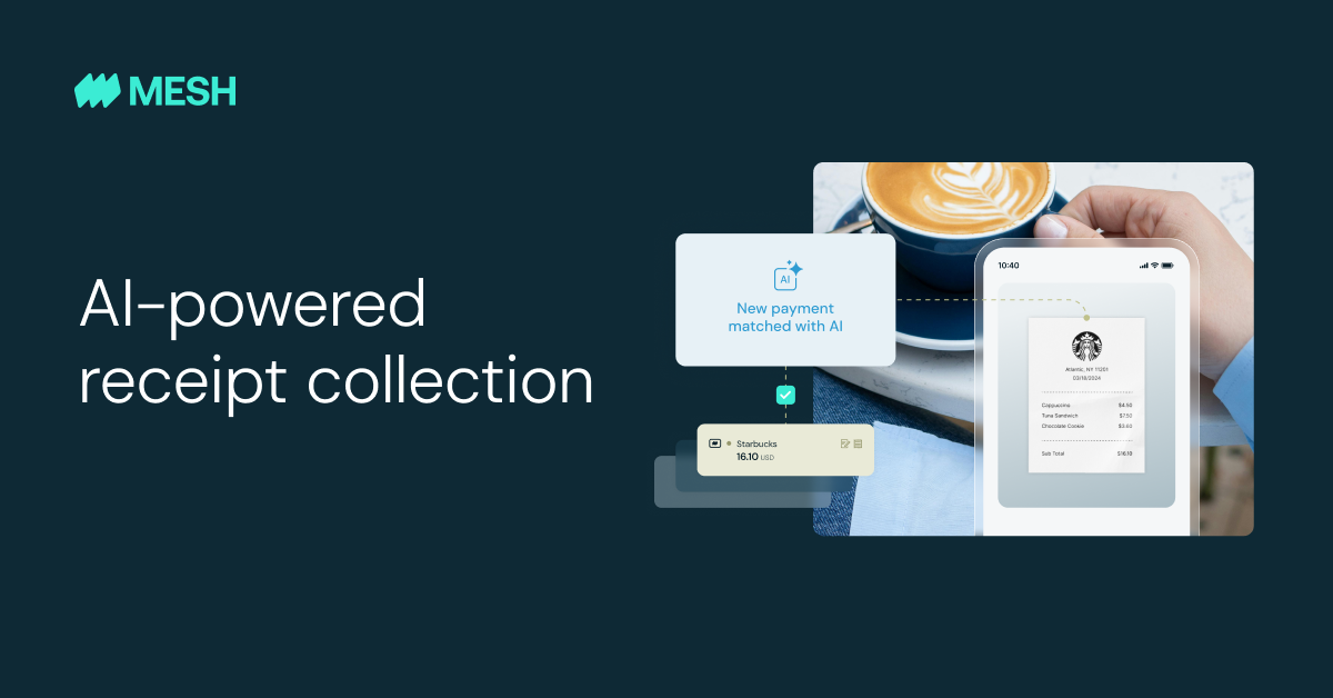 screenshot of Mesh Payments